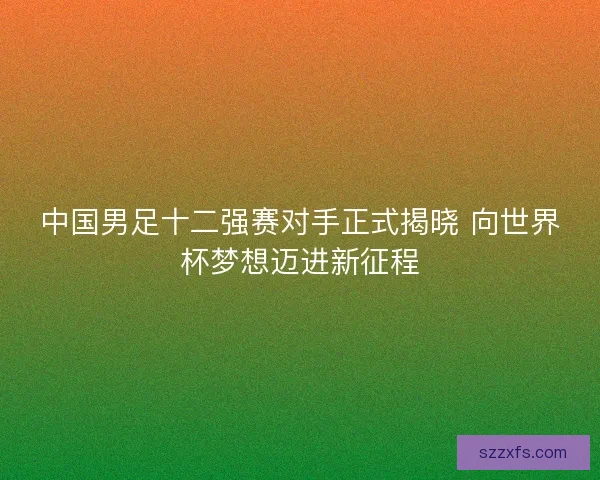 中国男足十二强赛对手正式揭晓 向世界杯梦想迈进新征程