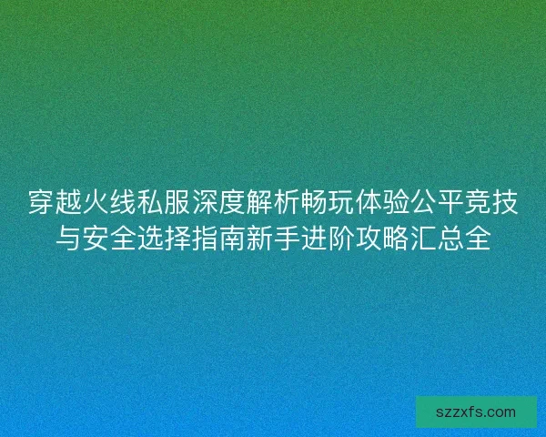 穿越火线私服深度解析畅玩体验公平竞技与安全选择指南新手进阶攻略汇总全